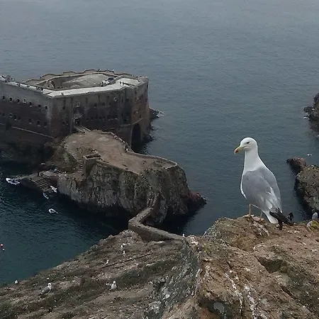 Διαμέρισμα Baleal-peniche Baleal